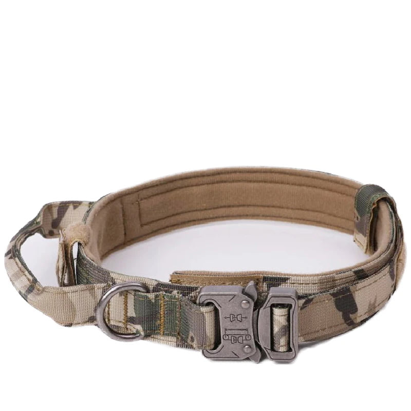 Reflekterande Hundhalsband & Koppel i Hållbart Nylon