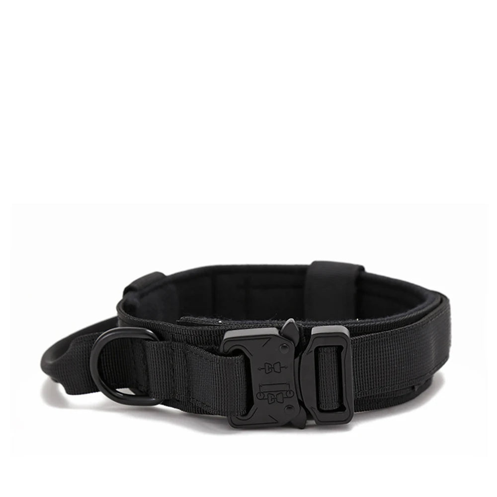 Reflekterande Hundhalsband & Koppel i Hållbart Nylon