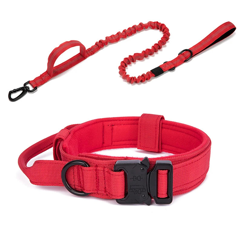 Reflekterande Hundhalsband & Koppel i Hållbart Nylon