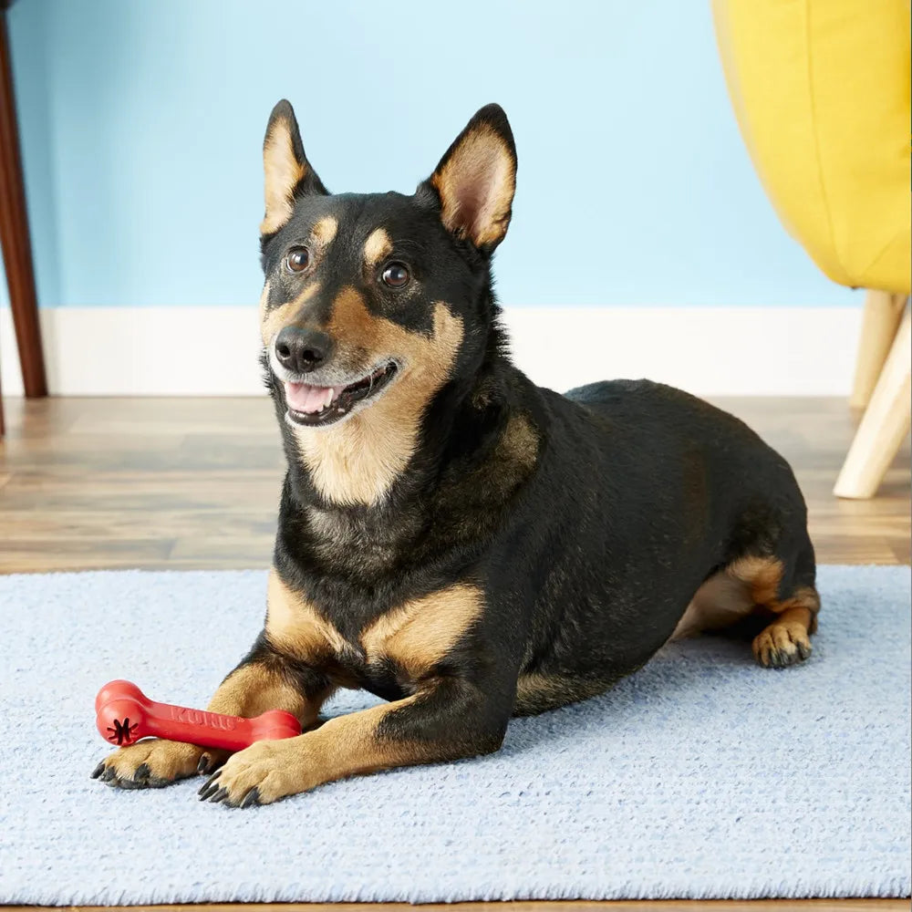 Goodieben för hund
