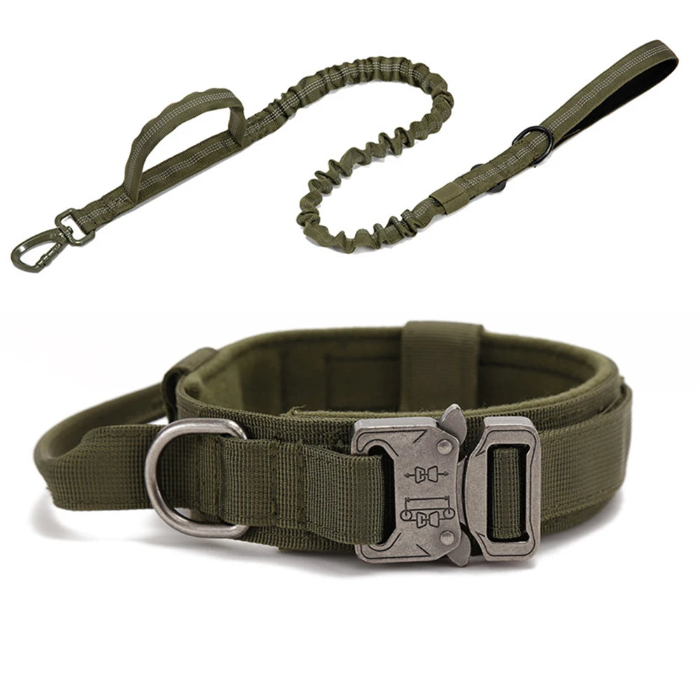 Reflekterande Hundhalsband & Koppel i Hållbart Nylon
