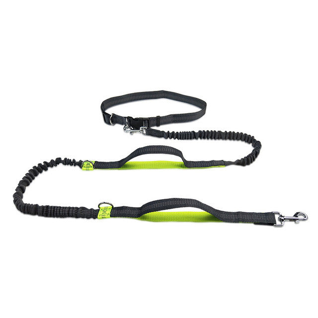 Hands-Free hundkoppel