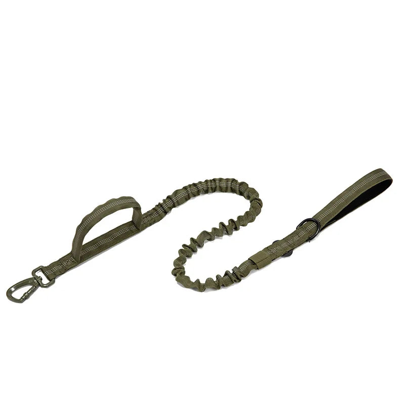 Reflekterande Hundhalsband & Koppel i Hållbart Nylon