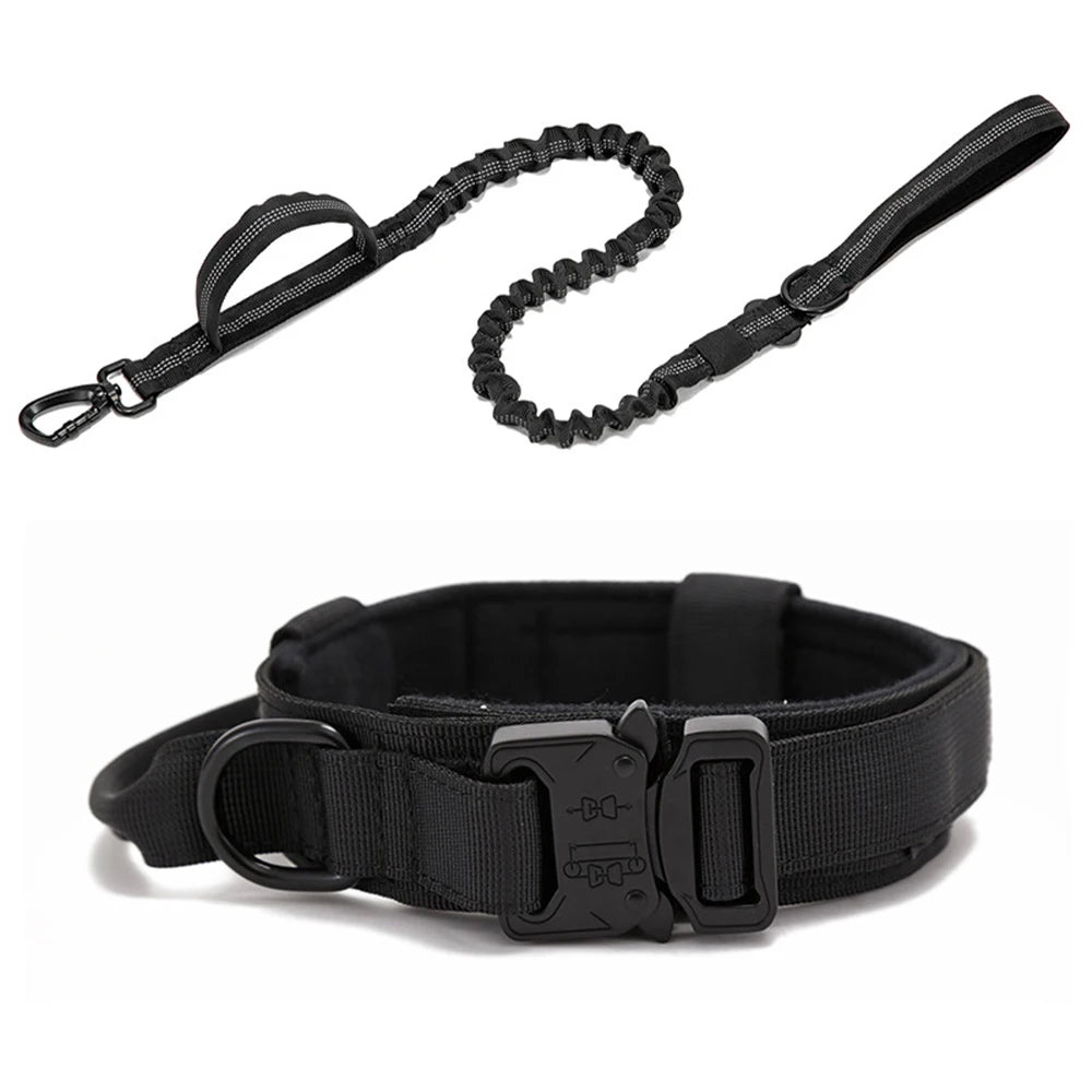 Reflekterande Hundhalsband & Koppel i Hållbart Nylon