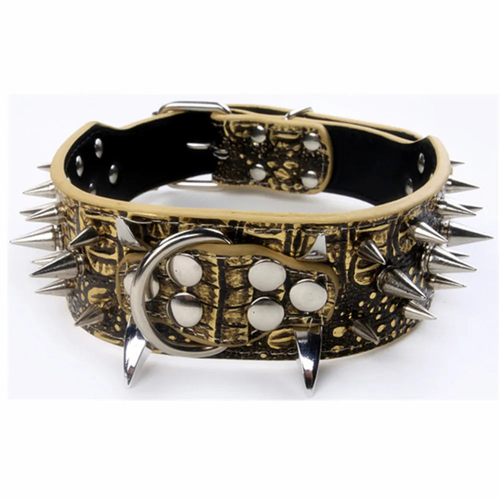 Spikhundhalsband och koppel Set