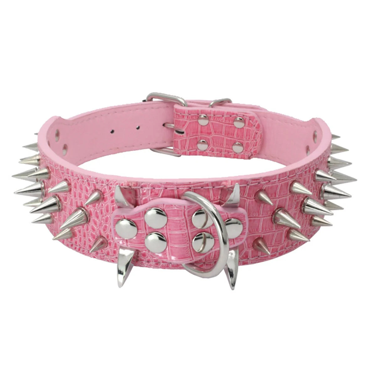 Spikhundhalsband och koppel Set