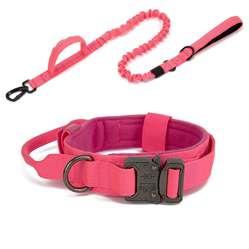 Reflekterande Hundhalsband & Koppel i Hållbart Nylon