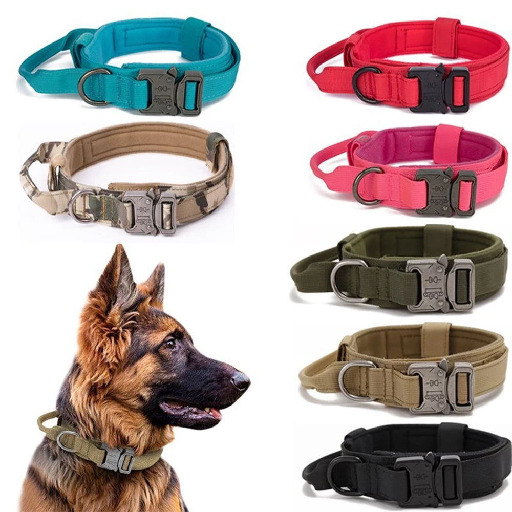 Reflekterande Hundhalsband & Koppel i Hållbart Nylon