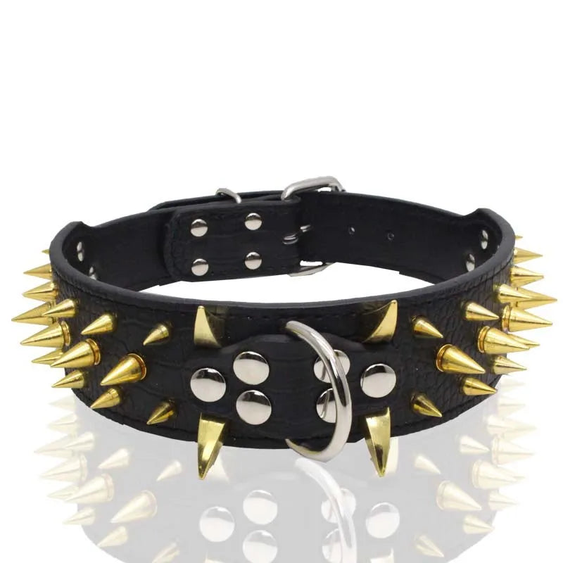 Spikhundhalsband och koppel Set
