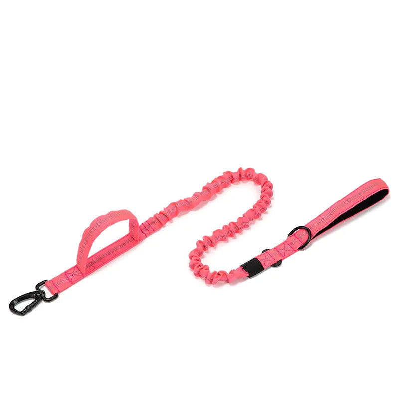 Reflekterande Hundhalsband & Koppel i Hållbart Nylon