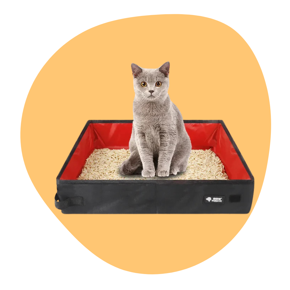 Bärbar hopfällbar resor Pet kattlåda Hundtoalett