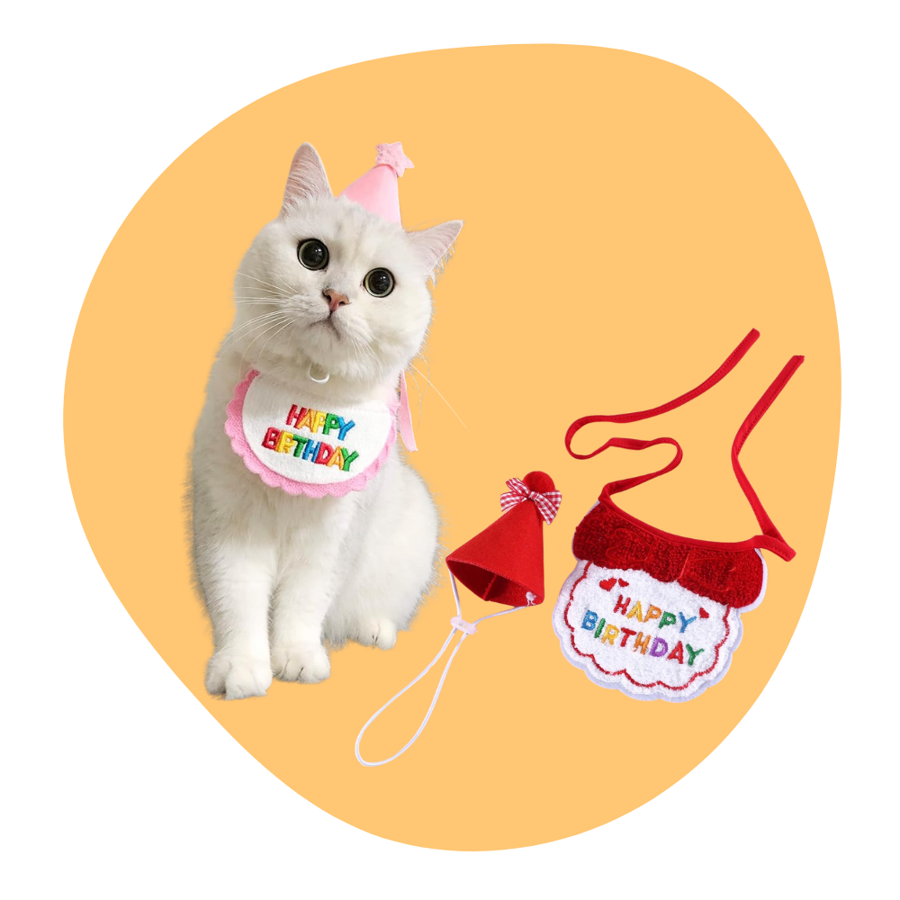 Födelsedagskit – Justerbar Hatt & Bandana för Hund & Katt
