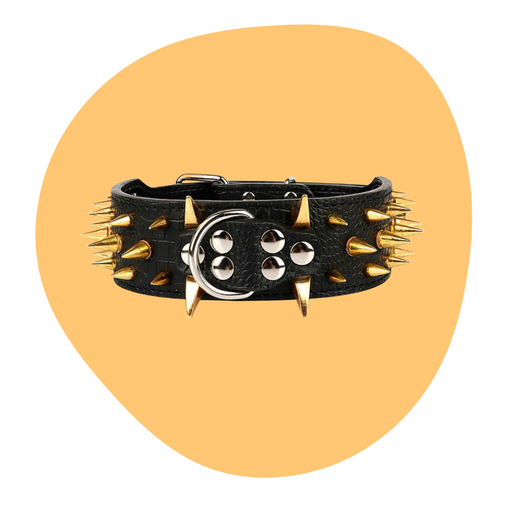 Spikhundhalsband och koppel Set
