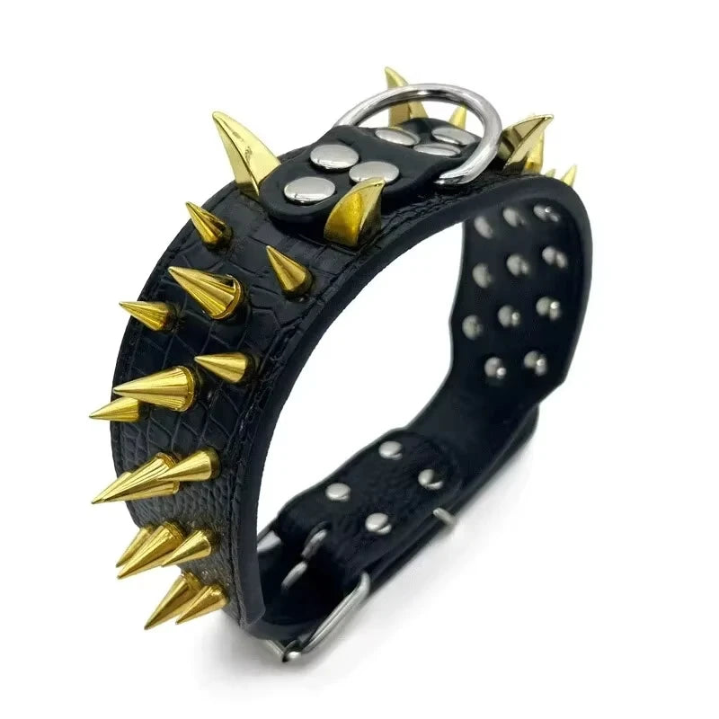 Spikhundhalsband och koppel Set