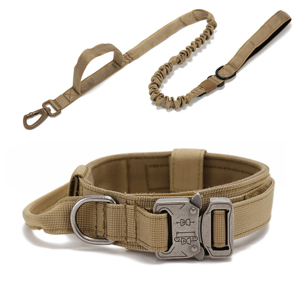 Reflekterande Hundhalsband & Koppel i Hållbart Nylon