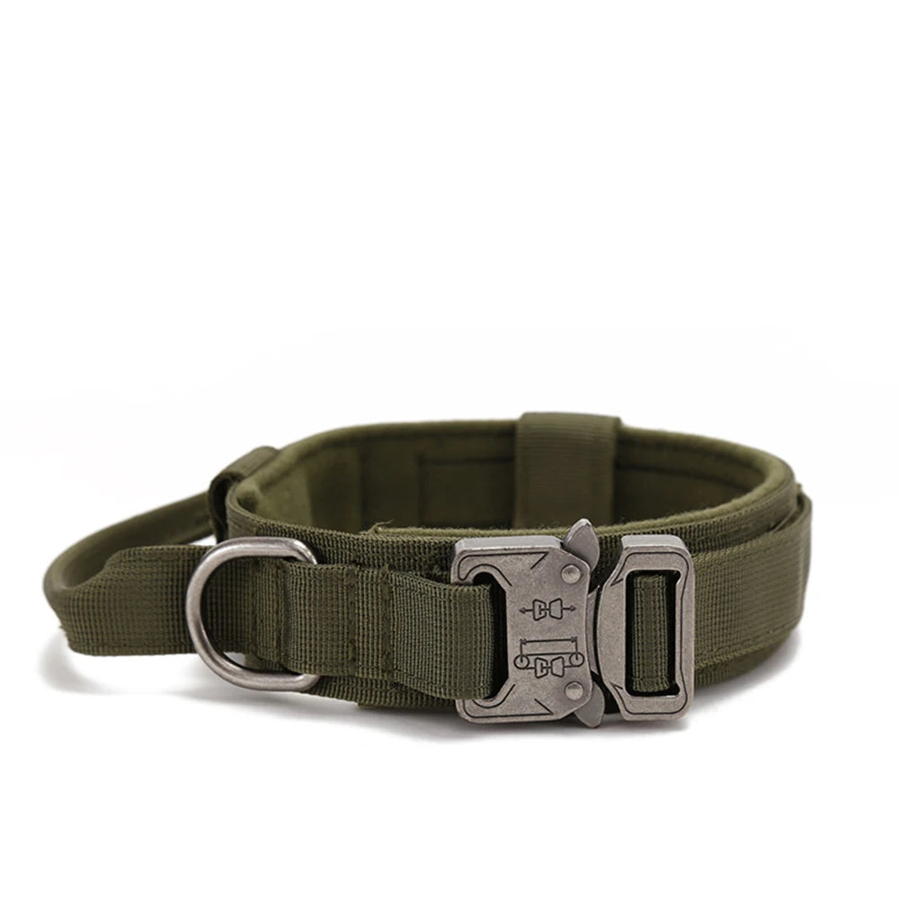 Reflekterande Hundhalsband & Koppel i Hållbart Nylon
