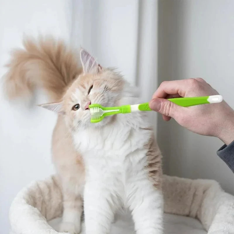 3-sidig Tandborste för Hund & Katt