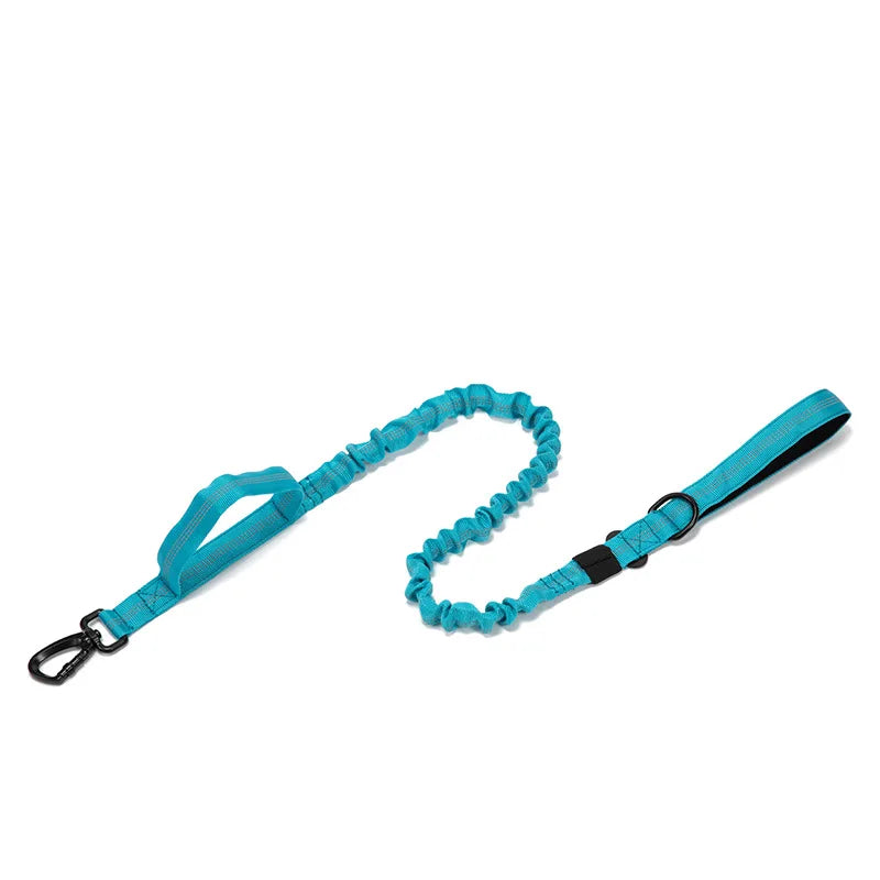 Reflekterande Hundhalsband & Koppel i Hållbart Nylon