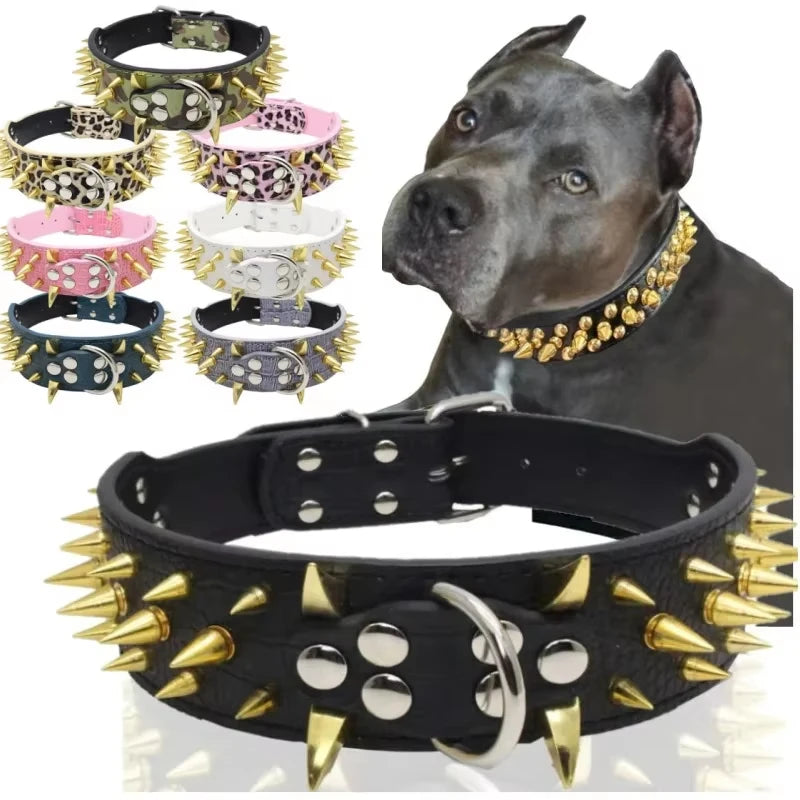 Spikhundhalsband och koppel Set