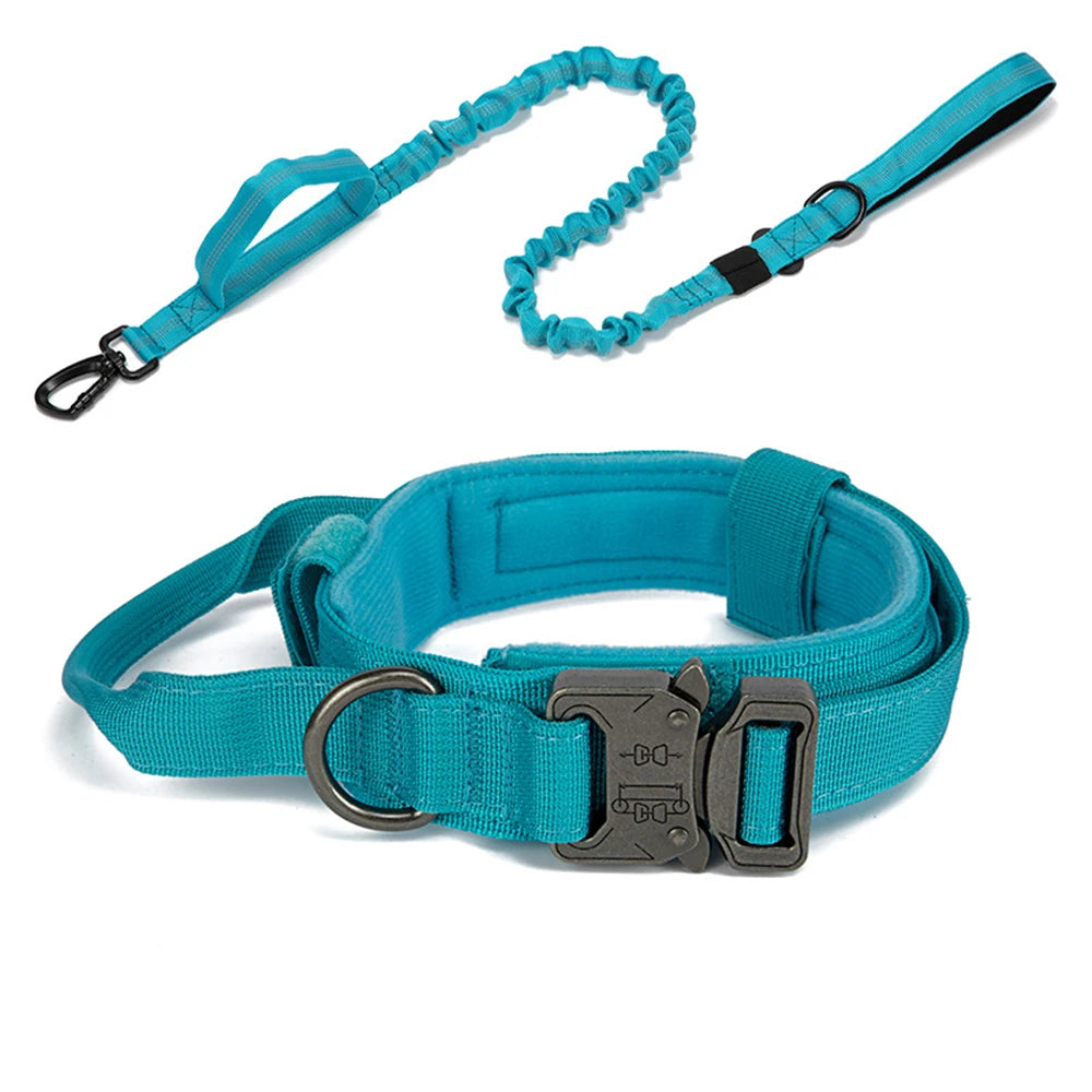 Reflekterande Hundhalsband & Koppel i Hållbart Nylon