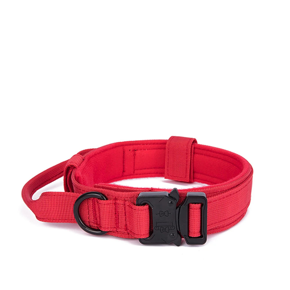 Reflekterande Hundhalsband & Koppel i Hållbart Nylon
