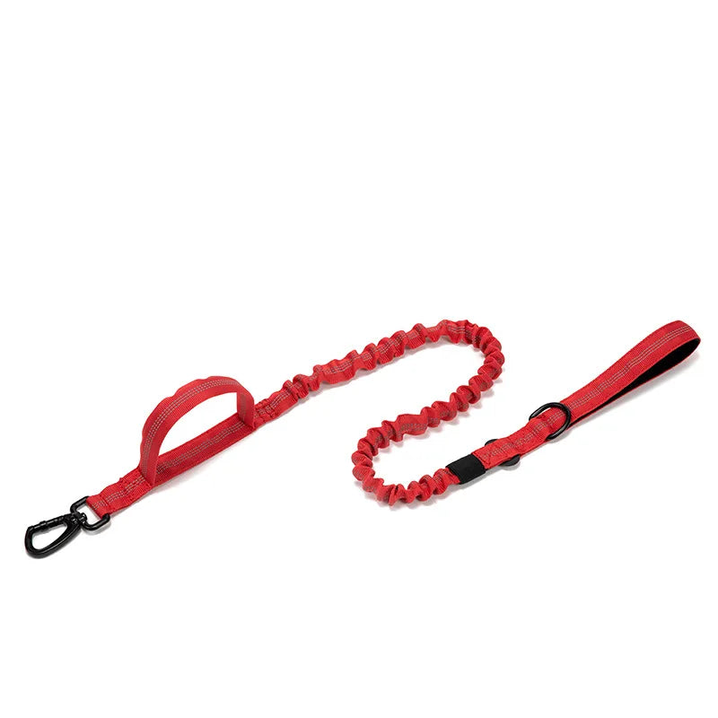 Reflekterande Hundhalsband & Koppel i Hållbart Nylon