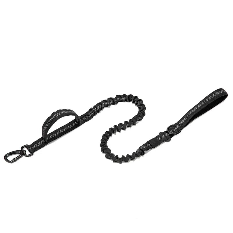 Reflekterande Hundhalsband & Koppel i Hållbart Nylon