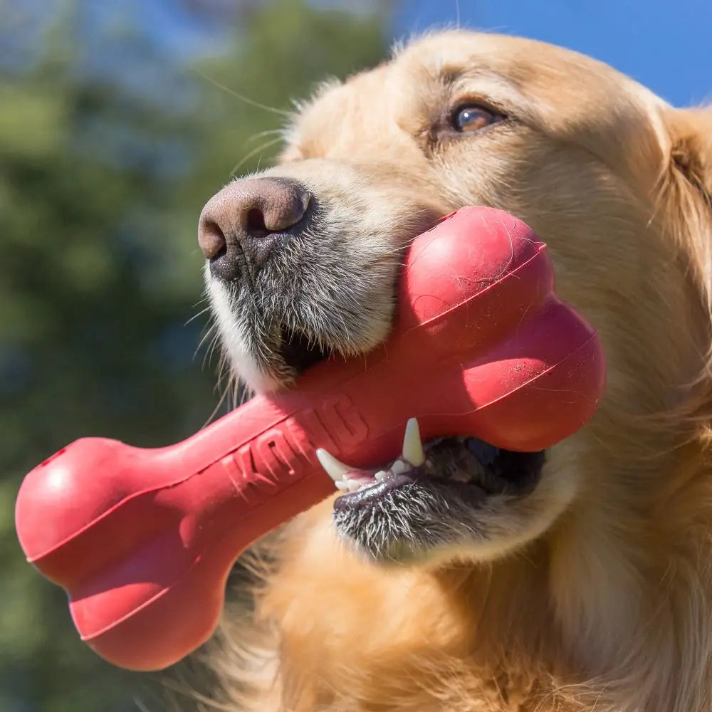 Goodieben för hund