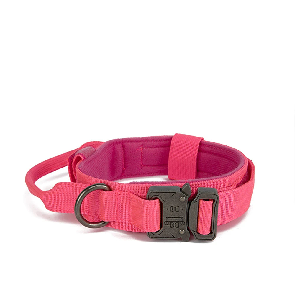 Reflekterande Hundhalsband & Koppel i Hållbart Nylon