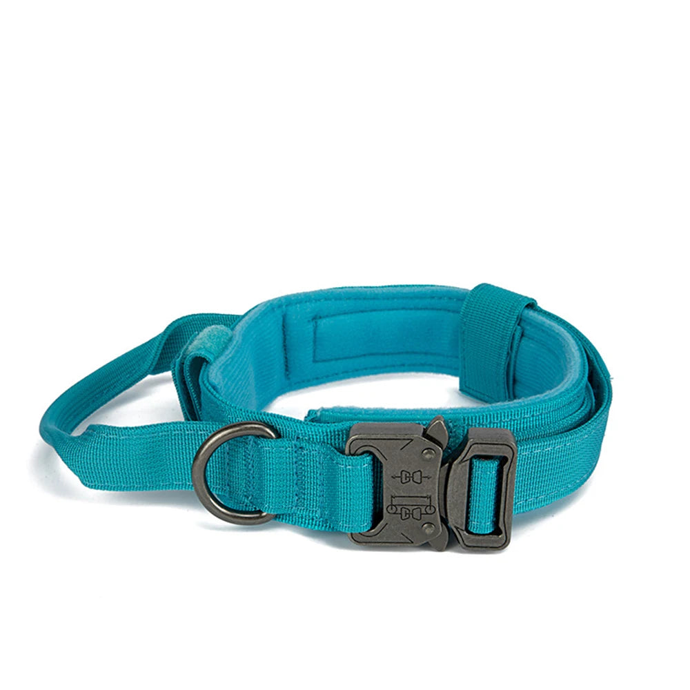 Reflekterande Hundhalsband & Koppel i Hållbart Nylon