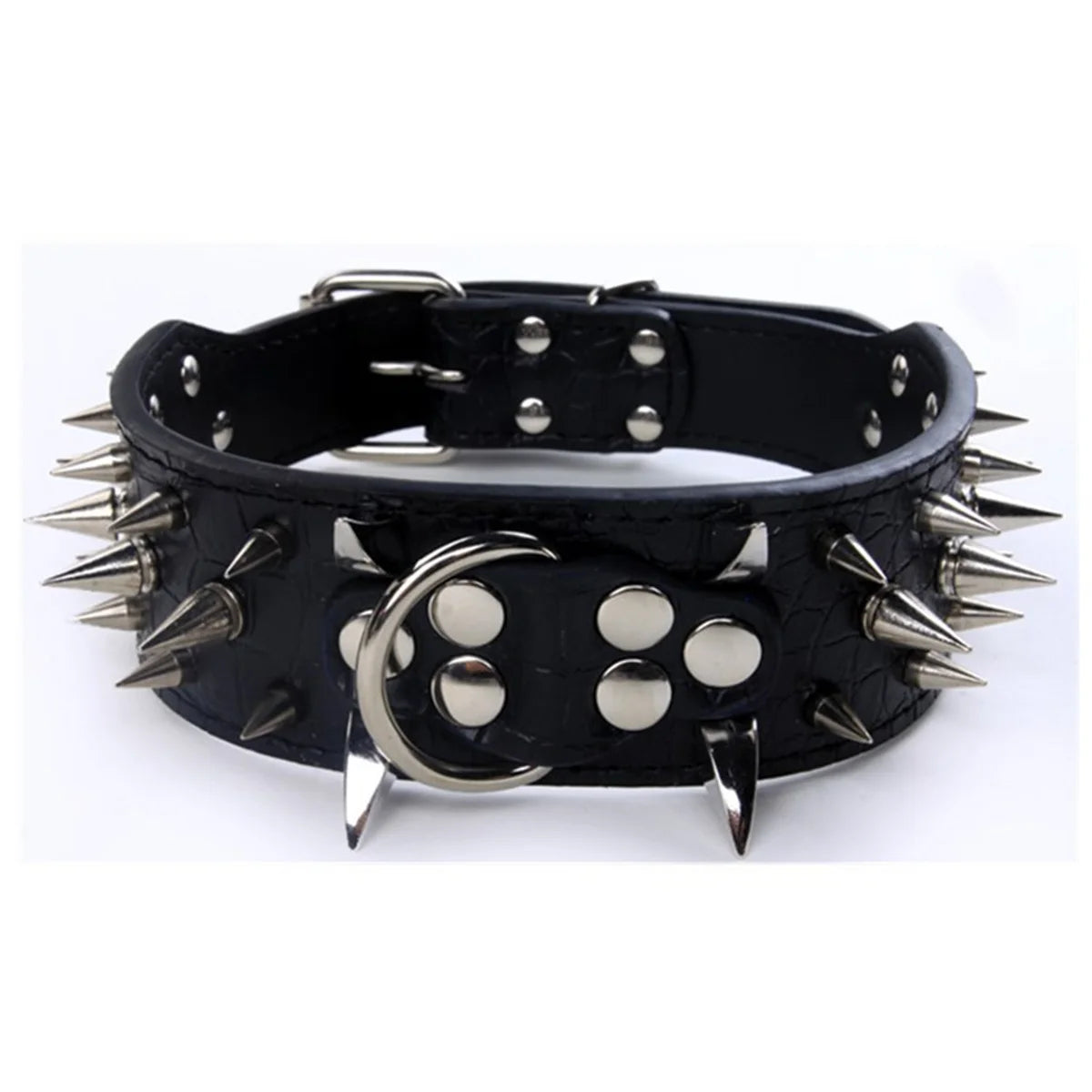 Spikhundhalsband och koppel Set