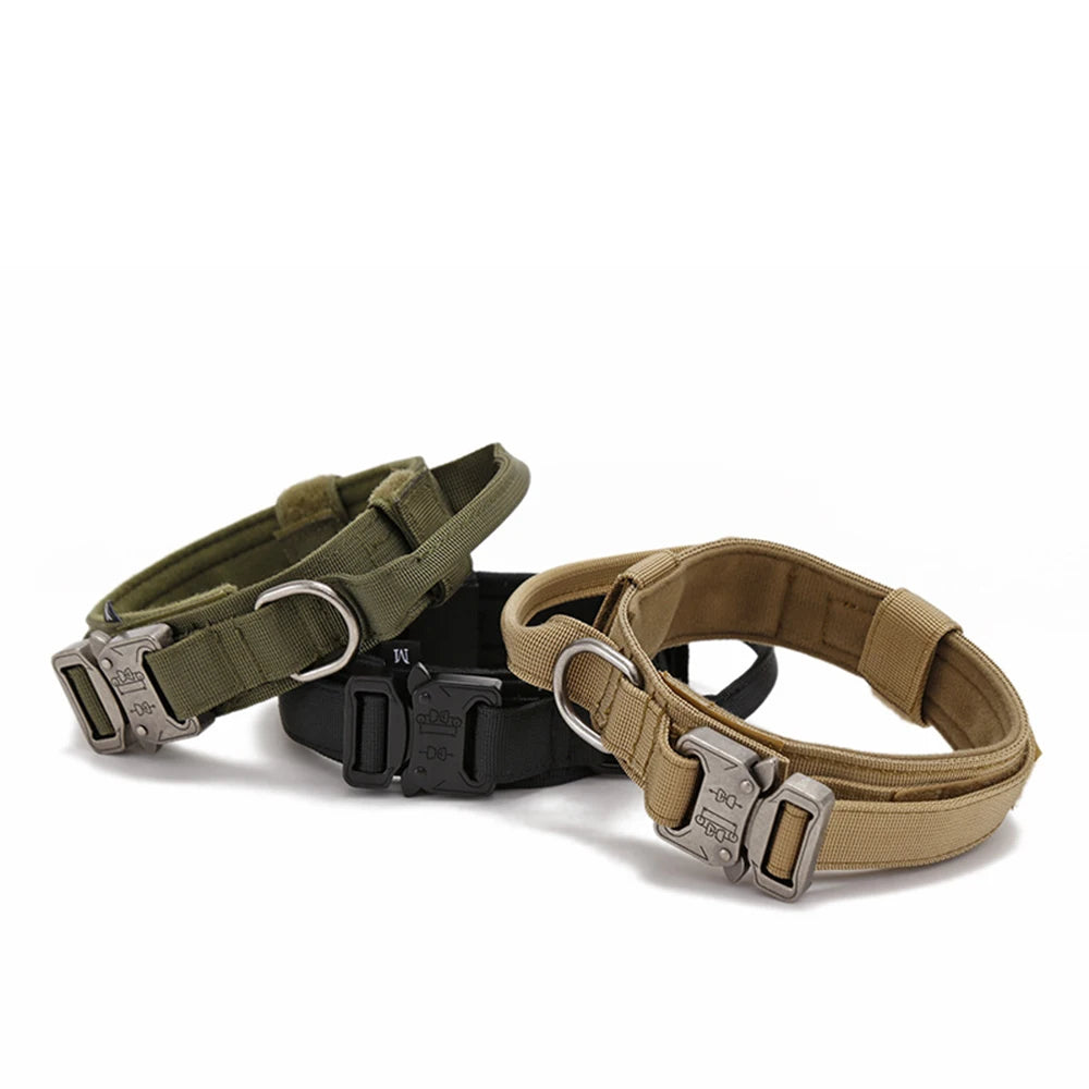 Reflekterande Hundhalsband & Koppel i Hållbart Nylon