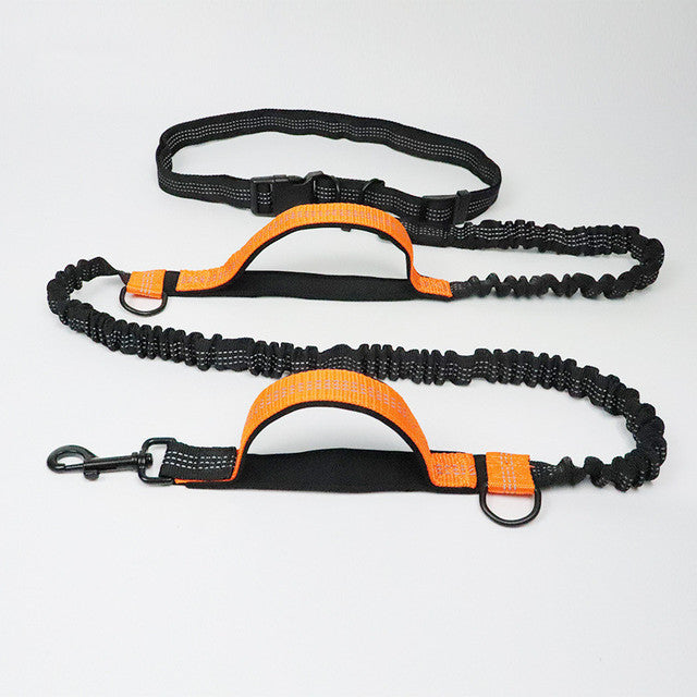 Hands-Free hundkoppel
