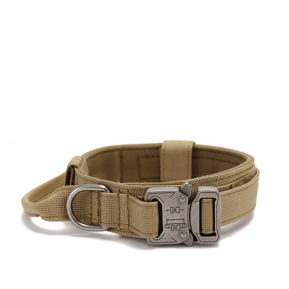 Reflekterande Hundhalsband & Koppel i Hållbart Nylon