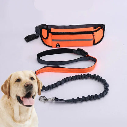 Hands-Free Dog Leash