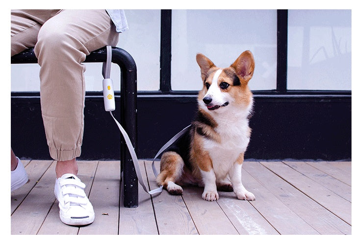 LIUTA Handsfree Hundkoppel