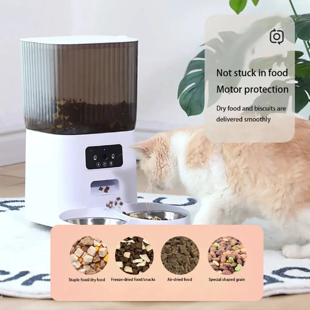 Automatic feeder for cats and dogs with HD camera and voice recording