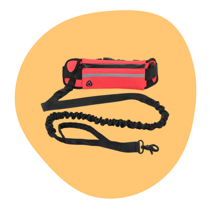 Hands-Free Dog Leash
