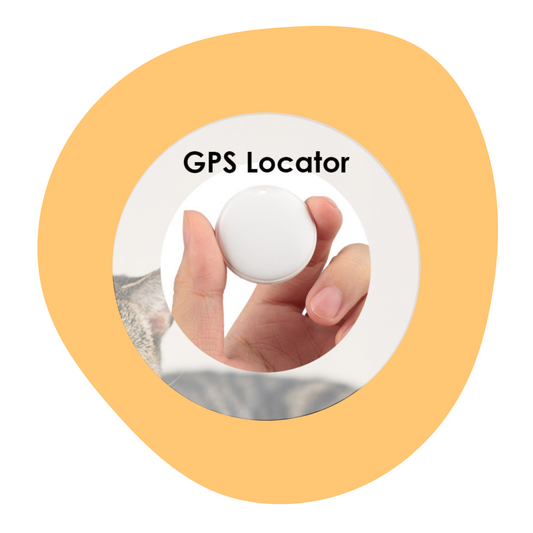 Find My Tag GPS-spårare