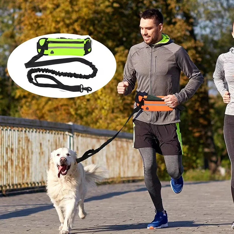 Hands-Free Dog Leash