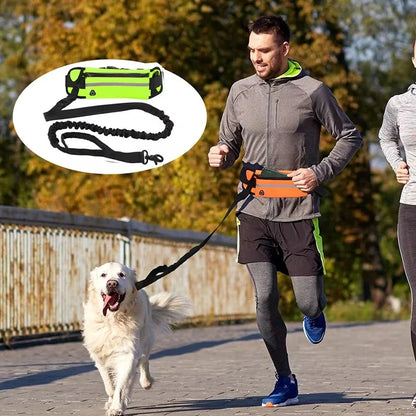 Hands-Free Dog Leash